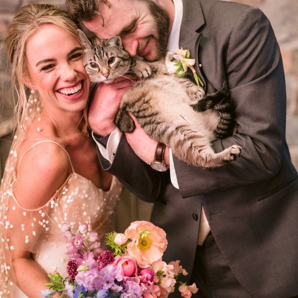 Meet your Posher, Brynn